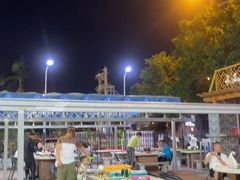 -墨脱石锅椰子鸡•香草鸭•东山羊(大东海店)