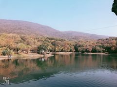 -紫霞湖公园