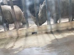 -辛玛王国游乐园