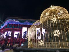 -新世界百货(明洞总店)