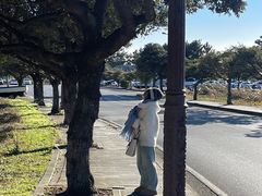-柱状节理带