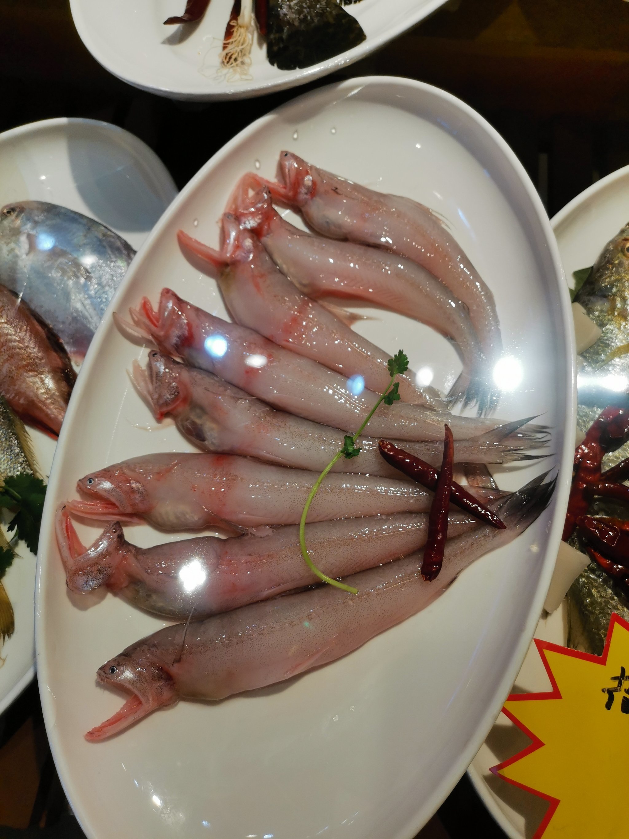 这是什么鱼