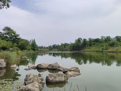-桂溪生态公园