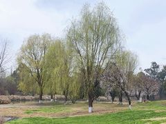 -两河城市森林公园