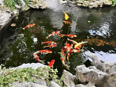 -鲤院·新中式美学·庭院餐厅(夫子庙店)