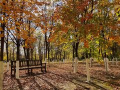 -长春世界雕塑园冰雪艺术天地