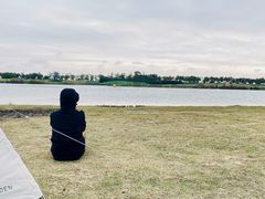 -春花秋色城市公园