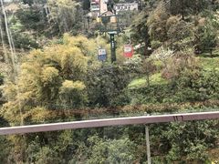 -洪霞餐馆
