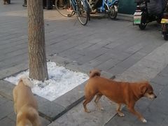 -后海公园