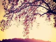 -康熙养生SPA·轻奢足道(江宁万达店)