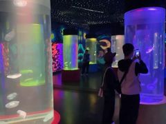 -顺德南宏海立方海洋公园