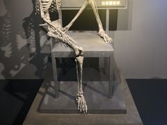 -李昌钰刑侦科学博物馆