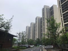 -美的鹭湖森林度假区