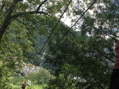 -藏龙百瀑风景区