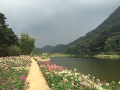 -广州市石门国家森林公园