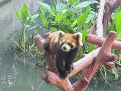 -长鹿旅游休博园