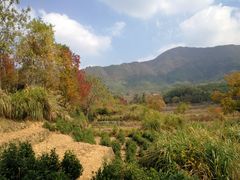 -塔川景区