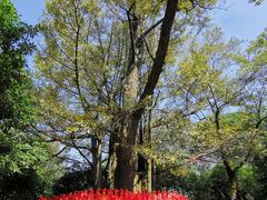 -西湖风景区十里琅珰-五云山