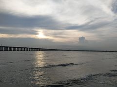 -宝安西湾红树林湿地公园