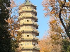 -灵谷景区
