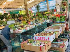 -曲阳花鸟市场(曲阳路店)