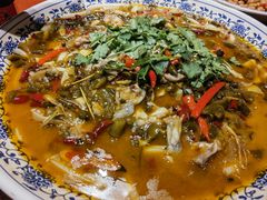 杨记麻麻蛙-杨记隆府(时代天街店)