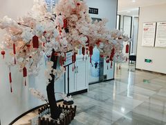 -牙博士口腔品牌连锁(杨浦店)