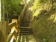 -缙云山景区