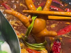 -阳阳老火锅(小南门店)