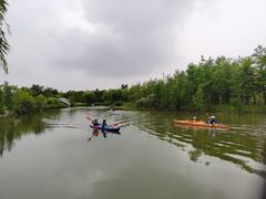 -上海长兴岛郊野公园