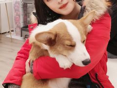 -浣熊柯尔鸭土拨鼠·电玩咖
