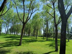 -亿利库布其七星湖沙漠生态旅游区