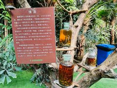 -呀路古热带植物园