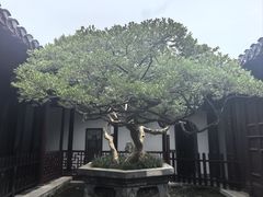 -水绘园