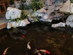 -道南書院·私房菜·早午茶·茶馆