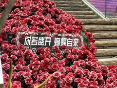 -万科生活广场(东莞松山湖店)