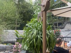 -院8里·少城记忆老川菜(宽窄巷子店)