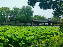 -丝绸小镇荻港古村