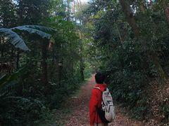 -三门江国家森林公园