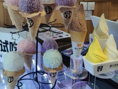 -野人先生现做冰淇淋(北京顺义祥云小镇店)