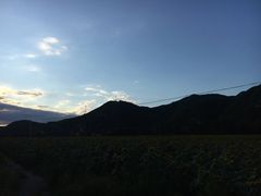 -御道口草原森林风景区