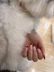 -斯馨·健康美甲美睫