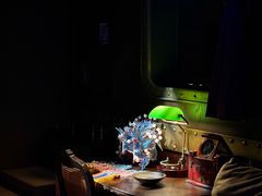 -武汉知音号