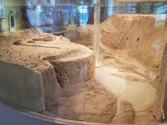 -嘉峪关城市博物馆