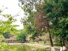 -东莞市可园博物馆