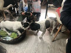 -小时光咖啡馆(北锣鼓巷店)