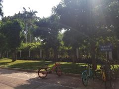 -晓港公园