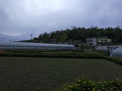-普迪生态园
