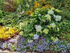 -深圳国际园林花卉博览园