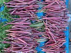 -璞真扎染博物馆